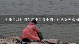 冬季黑坑钓鲤鱼用千里香小药为什么会死窝?似乎钓鲫鱼效果还凑付，大虾们说说有没有同感