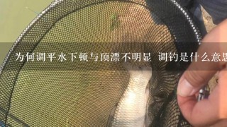 为何调平水下顿与顶漂不明显 调钓是什么意思