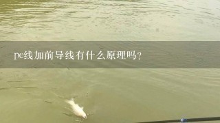 pe线加前导线有什么原理吗？