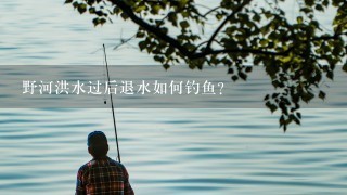 野河洪水过后退水如何钓鱼？