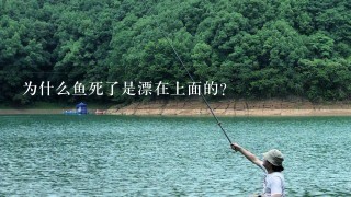 为什么鱼死了是漂在上面的？