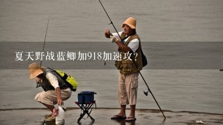 夏天野战蓝鲫加918加速攻？