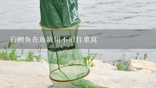 钓鲤鱼在鱼坑用不用打重窝