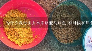 为什么我每次去水库路亚马口鱼 有时候在那个位置连