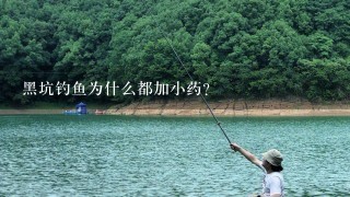 黑坑钓鱼为什么都加小药？