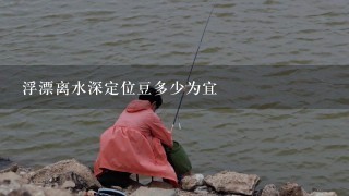 浮漂离水深定位豆多少为宜