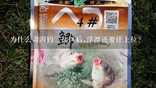 为什么调4钓2挂饵后,浮漂还要往上拉？