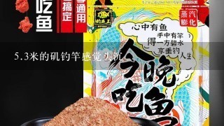 5.3米的矶钓竿感觉头沉