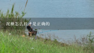 泥鳅怎么挂才是正确的