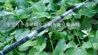 宝宝8个月可以吃汪刺鱼烧豆腐汤吗