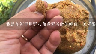 我是在河里用野8角煮稻谷醉的鲤鱼，怎样醉的鲤鱼养活