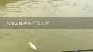 东海云峰鲤鱼竿怎么样