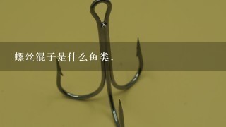 螺丝混子是什么鱼类.