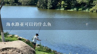 海水路亚可以钓什么鱼