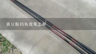 黄豆粉钓鱼效果怎样