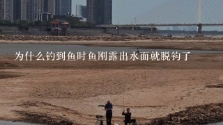 为什么钓到鱼时鱼刚露出水面就脱钩了