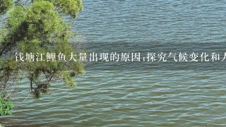 钱塘江鲤鱼大量出现的原因;探究气候变化和人类活动对钱塘江生态环境的影响