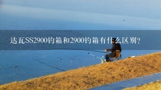 达瓦SS2900钓箱和2900钓箱有什么区别？