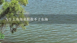 为什么南海泉眼救不了东海