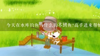 今天在水库钓鱼为什么钓不到鱼?高手进来帮忙解答!200分