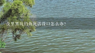 夜里黑坑钓鱼死活没口怎么办?