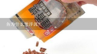 鱼为什么能浮沉？