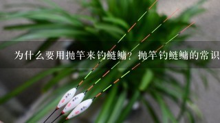 为什么要用抛竿来钓鲢鳙？抛竿钓鲢鳙的常识问题有哪