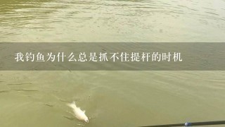 我钓鱼为什么总是抓不住提杆的时机