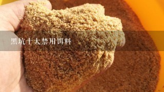 黑坑十大禁用饵料