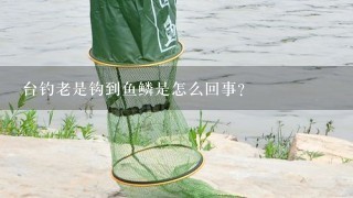 台钓老是钩到鱼鳞是怎么回事？