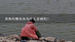 煮熟的鲫鱼肉为什么是硬的？