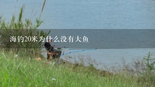 海钓20米为什么没有大鱼