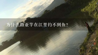 为什么路亚竿在江里钓不到鱼？