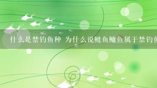 什么是禁钓鱼种 为什么说鲢鱼鳙鱼属于禁钓鱼种 还有