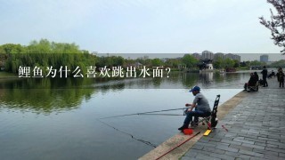 鲤鱼为什么喜欢跳出水面？