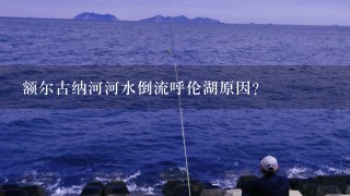 额尔古纳河河水倒流呼伦湖原因？