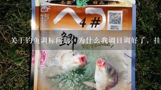 关于钓鱼调标问题，为什么我调目调好了，挂饵调钓目时标沉不下去？