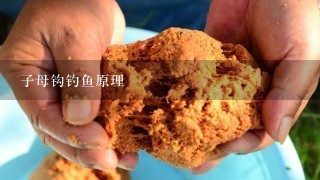 子母钩钓鱼原理