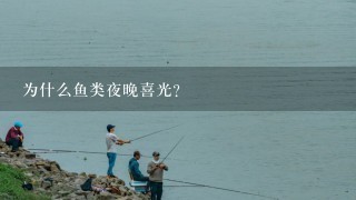 为什么鱼类夜晚喜光？