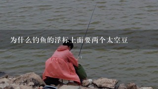 为什么钓鱼的浮标上面要两个太空豆