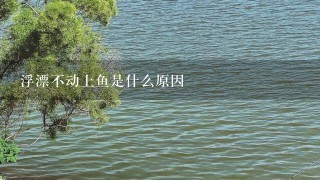 浮漂不动上鱼是什么原因