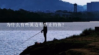 为什么有些溪边有禁止钓鱼？