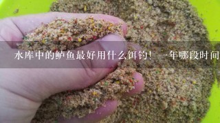 水库中的鲈鱼最好用什么饵钓！1年哪段时间掉好？