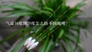 气温16度到20度怎么路不到翘嘴？