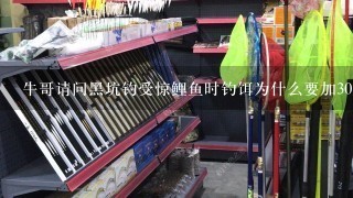 牛哥请问黑坑钓受惊鲤鱼时钓饵为什么要加30左右的拉丝粉？