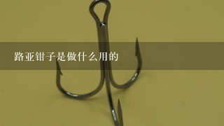 路亚钳子是做什么用的