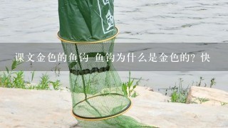 课文金色的鱼钩 鱼钩为什么是金色的? 快