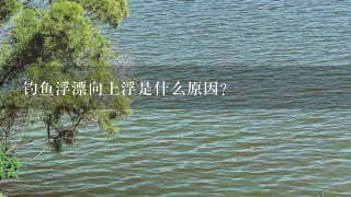 钓鱼浮漂向上浮是什么原因？