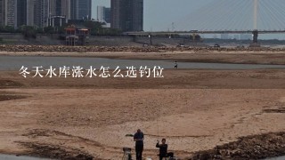 冬天水库涨水怎么选钓位