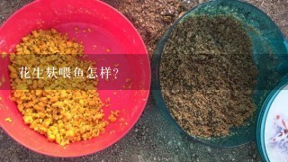 花生麸喂鱼怎样？